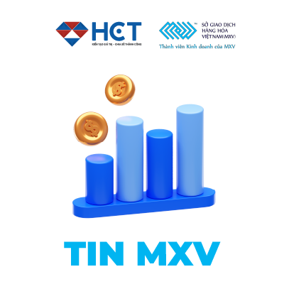 373/QĐ/TGĐ-MXV Quyết định ban hành mức ký quỹ giao dịch hàng hóa tại Sở Giao dịch Hàng hóa Việt Nam