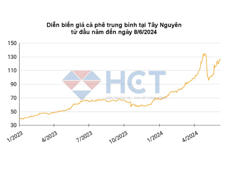 Diễn biến giá cà phê trung bình tại Tây Nguyên đến ngày 8/6/2024