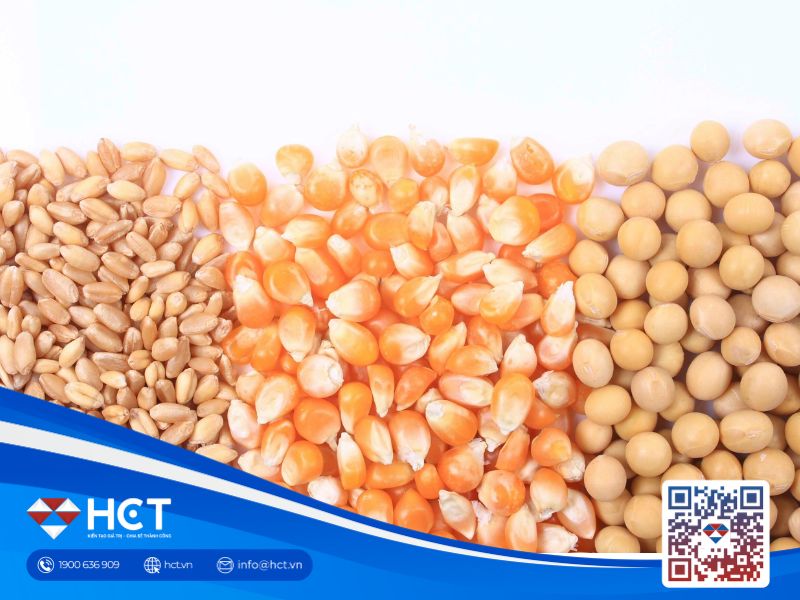 Lúa mì tiếp tục giảm giá vào 10/6 do lệnh cấm nhập khẩu của Thổ Nhĩ Kỳ 