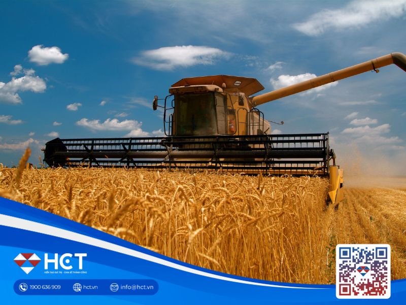 Kỳ vọng cao về vụ thu hoạch ở Mỹ cũng góp phần làm giảm giá lúa mì 
