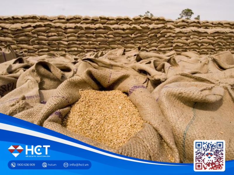 Lệnh cấm nhập khẩu của Thổ Nhĩ Kỳ ảnh hưởng lớn đến việc xuất khẩu lúa mì của Nga
