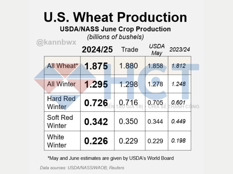 USDA ước tính tổng sản lượng lúa mì của Mỹ niên vụ 2024/25