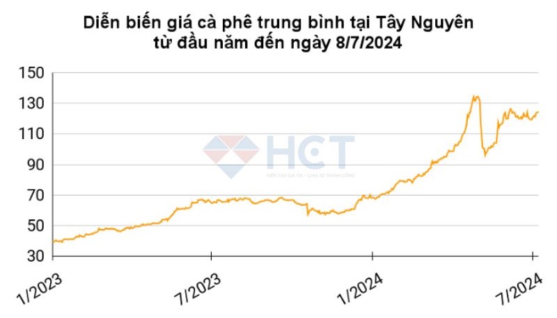 Diễn biến giá cà phê tại Tây Nguyên từ đầu năm 2023 đến 8/7/2024