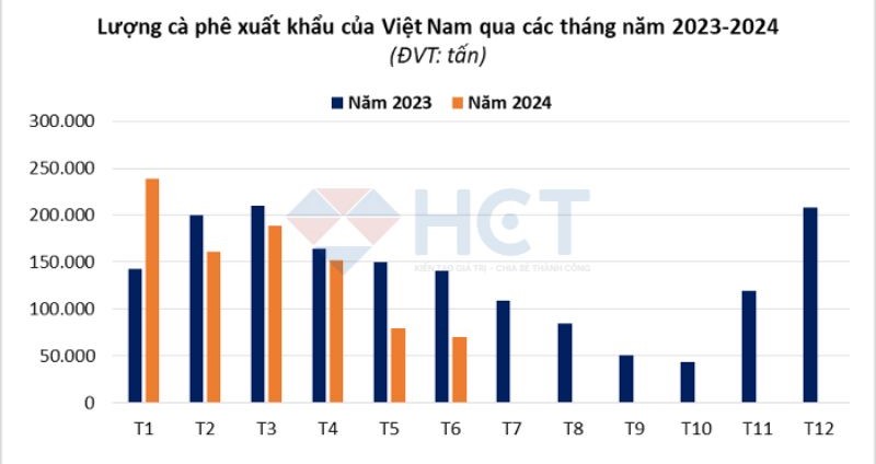 Tình hình xuất khẩu cà phê Việt Nam qua các tháng giai đoạn 2023-24