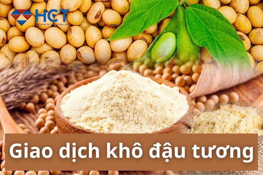 PHÂN TÍCH: XU HƯỚNG, RỦI RO VÀ CÁCH THỨC GIAO DỊCH THỊ TRƯỜNG KHÔ ĐẬU TƯƠNG