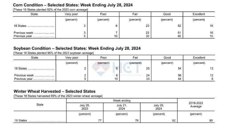 Tóm tắt báo cáo tiến độ trồng trọt của USDA trong tuần kết thúc ngày 28/7