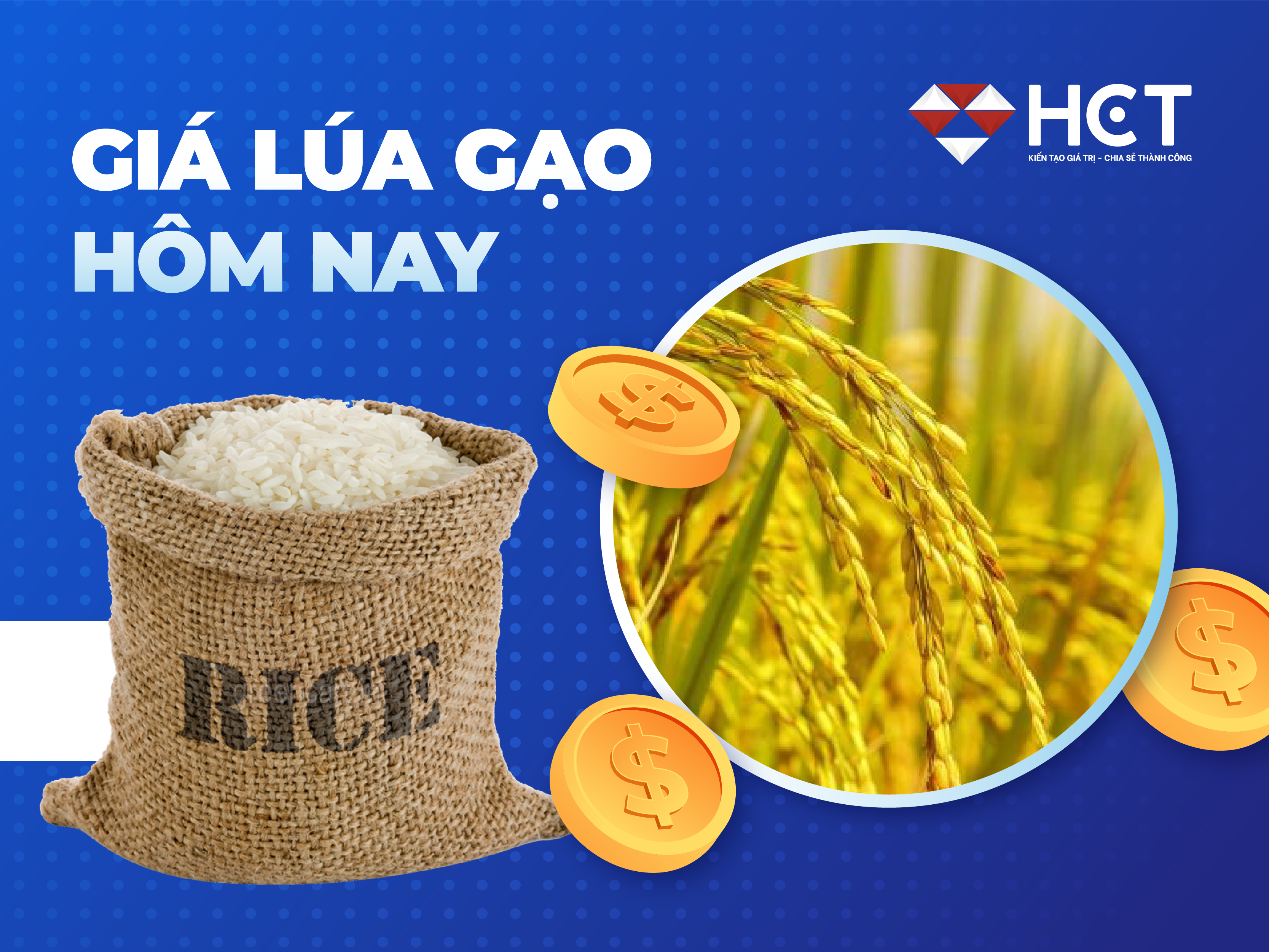 Giá lúa gạo hôm nay - cập nhật giá gạo thô hàng ngày