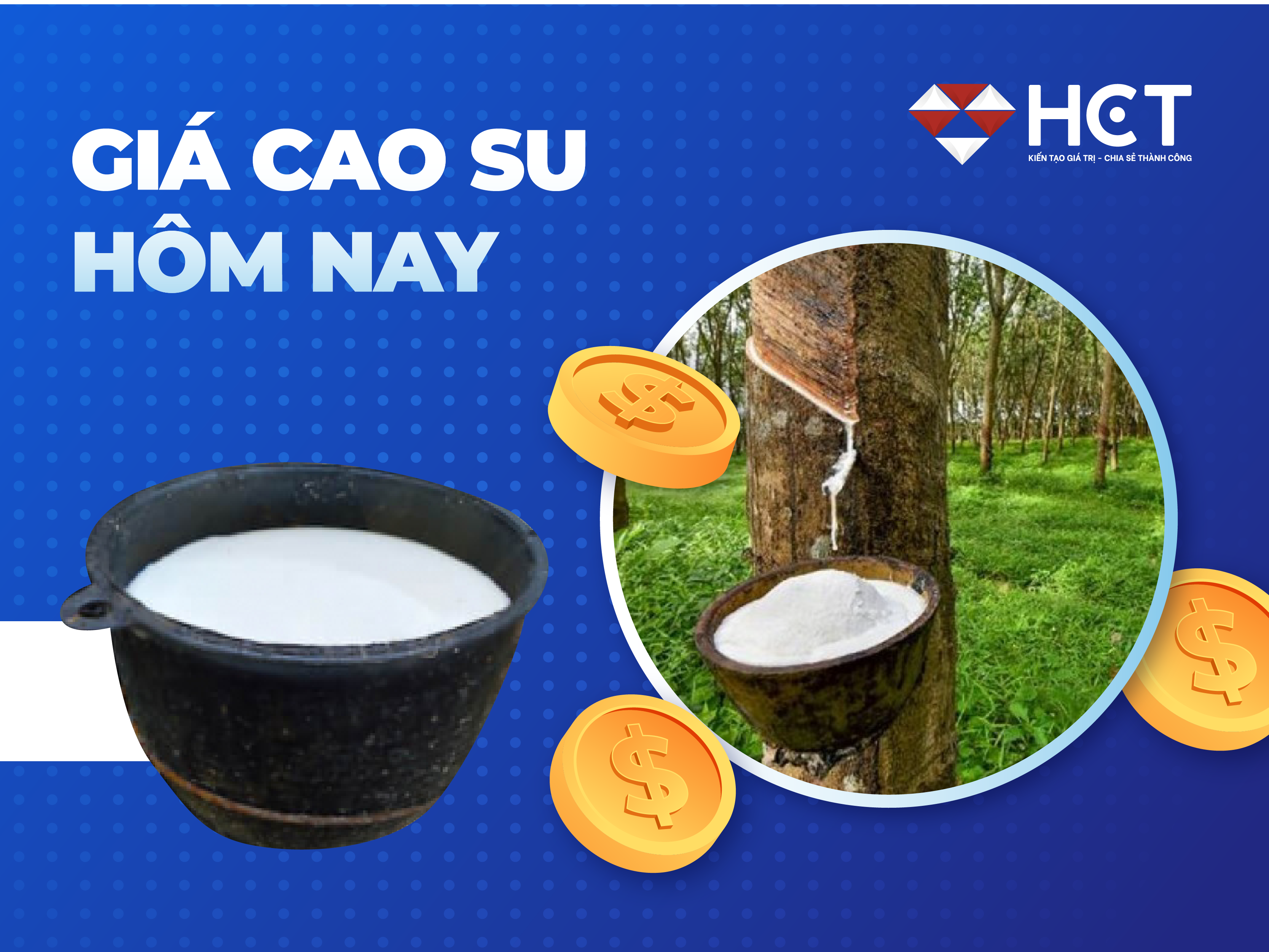 Giá cao su trực tuyến - cập nhật giá cao su hàng ngày