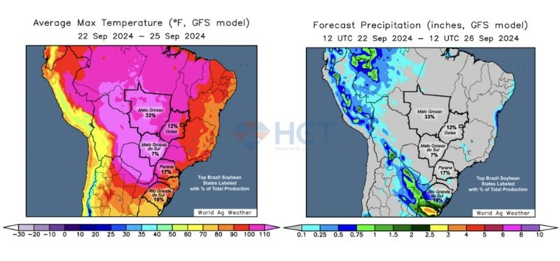 Dự báo thời tiết các vùng trồng trọt chính của Brazil trong tuần tới