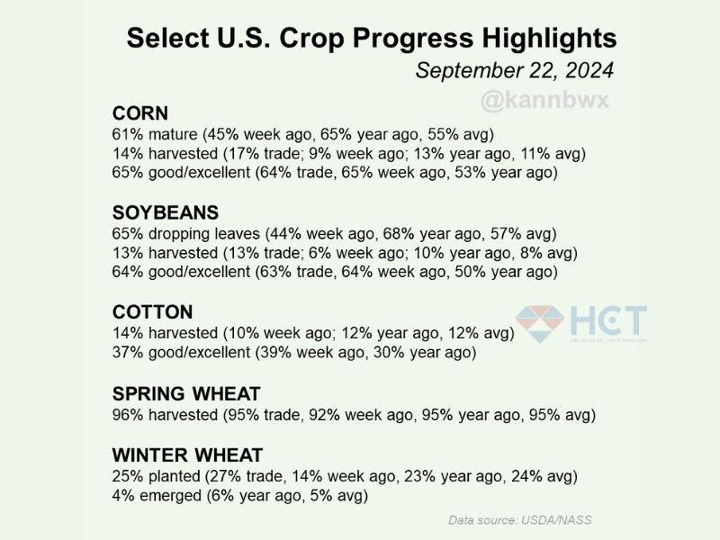 Tóm tắt báo cáo tiến độ mùa vụ USDA tuần 22/9