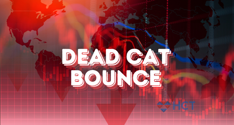 Dead cat bounce (Cú nảy mèo chết): Hiện tượng giá cổ phiếu phục ngồi ngắn hạn sau đà giảm