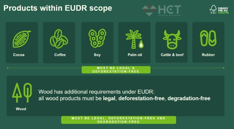 EU tạm hoãn thời gian thực hiện đạo luật phòng chống phá rừng EUDR 