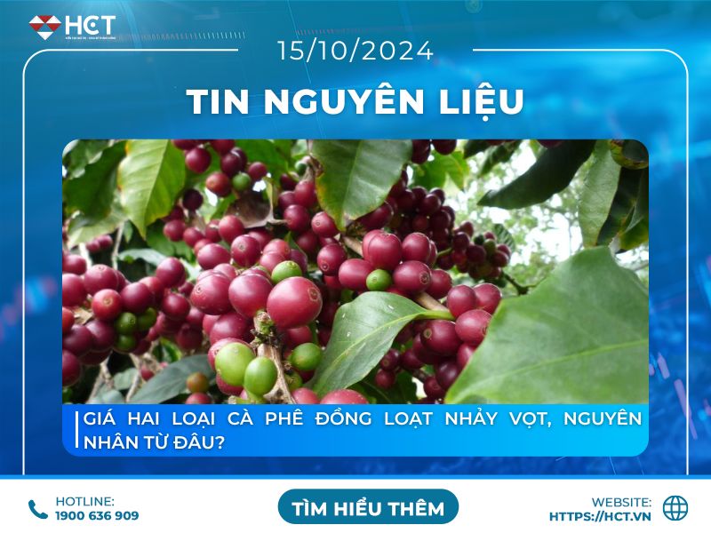 Giá hai loại cà phê đồng loạt nhảy vọt, nguyên nhân từ đâu?