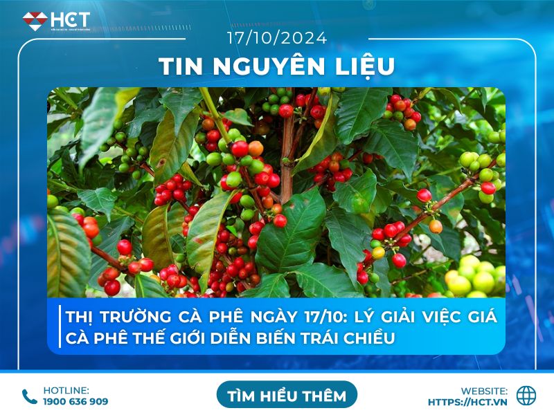 Thị trường cà phê ngày 17/10: Lý giải việc giá cà phê thế giới diễn biến trái chiều