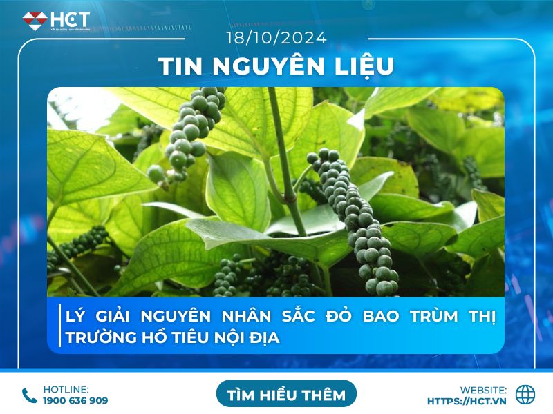 Lý giải nguyên nhân sắc đỏ bao trùm thị trường hồ tiêu nội địa