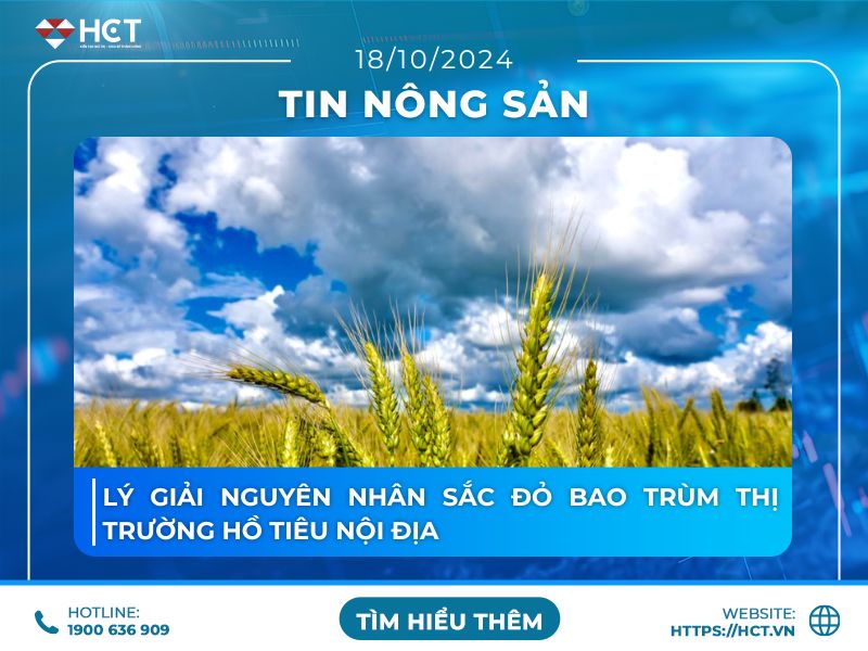 Thị trường nông sản “bùng nổ” ngày cuối tuần, nguyên nhân nhờ đâu?