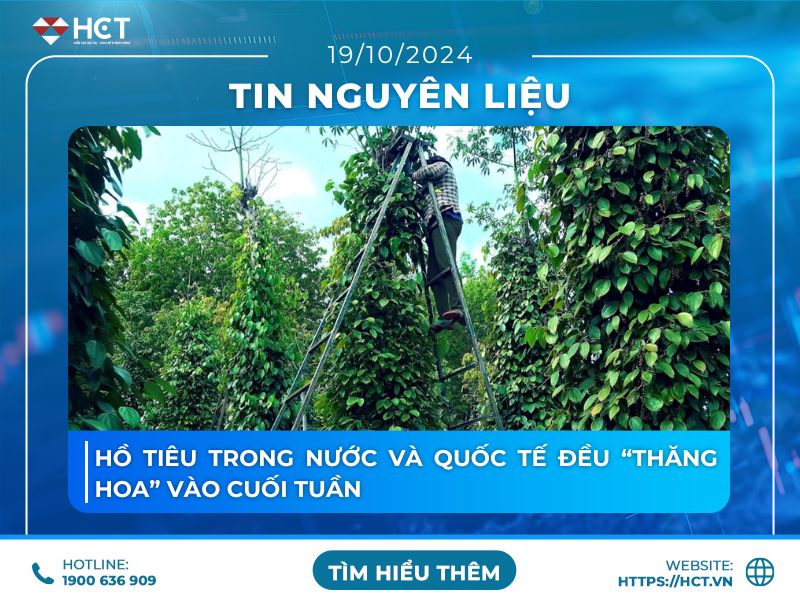 Hồ tiêu trong nước và quốc tế đều “thăng hoa” vào cuối tuần