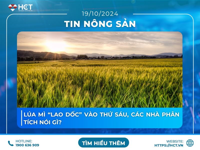 Lúa mì “lao dốc” vào thứ Sáu, các nhà phân tích nói gì?