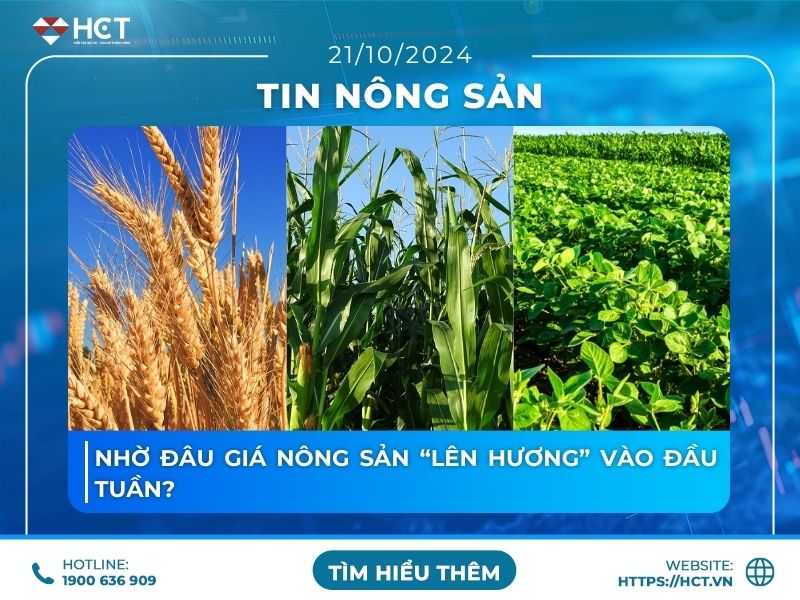 Nhờ đâu giá nông sản “lên hương” vào đầu tuần?