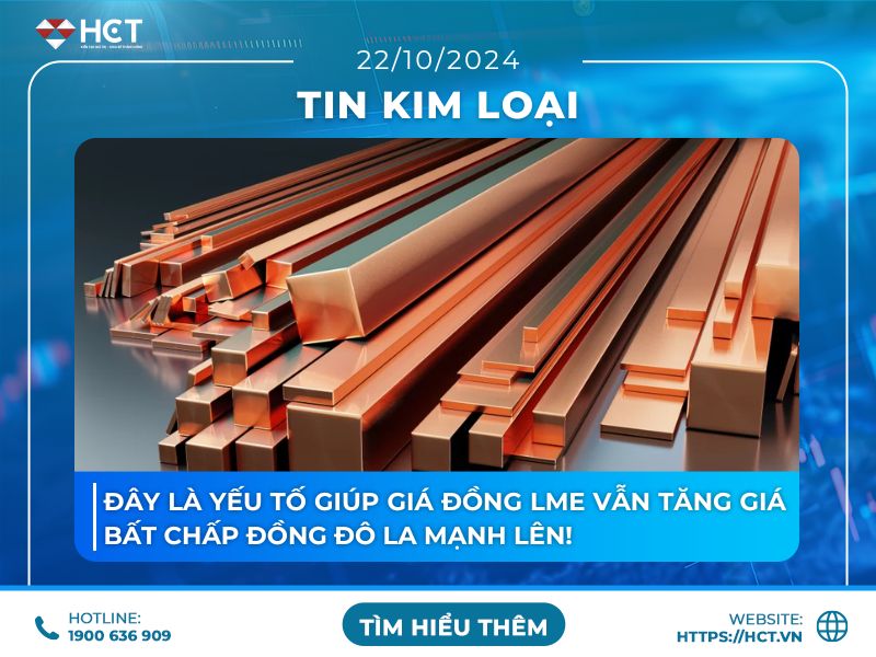 Đồng LME vẫn tăng giá bất chấp USD mạnh lên 