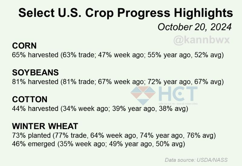 Báo cáo tiến độ thu hoạch nông sản tại Mỹ
