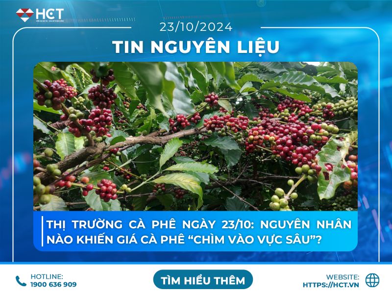 Thị trường cà phê ngày 23/10: Nguyên nhân nào khiến giá cà phê “chìm vào vực sâu”?