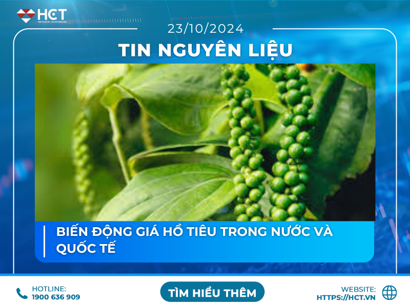 cập nhật thay đổi giá hồ tiêu 23/10.