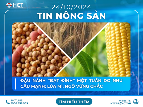 Đậu nành “đạt đỉnh” một tuần do nhu cầu mạnh. Lúa mì, ngô vững chắc : Nguyên nhân do đâu ?