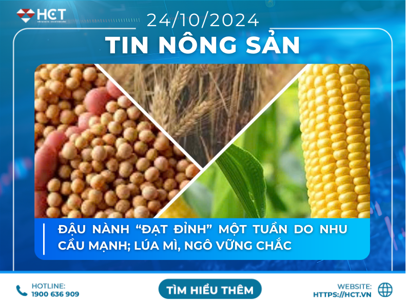 tin tức nông sản 24/10