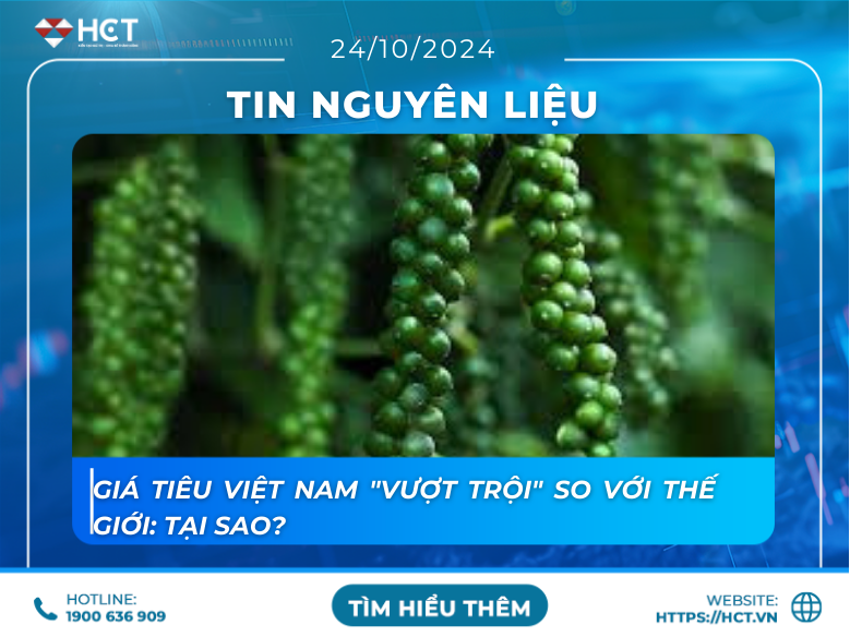 Giá tiêu Việt Nam "vượt trội" so với thế giới: Tại sao?