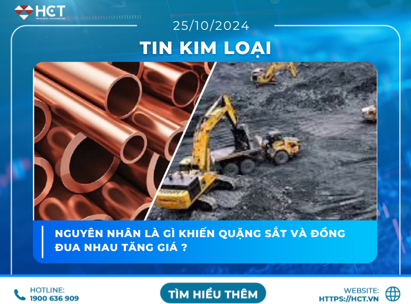 tin kim loại 25/10