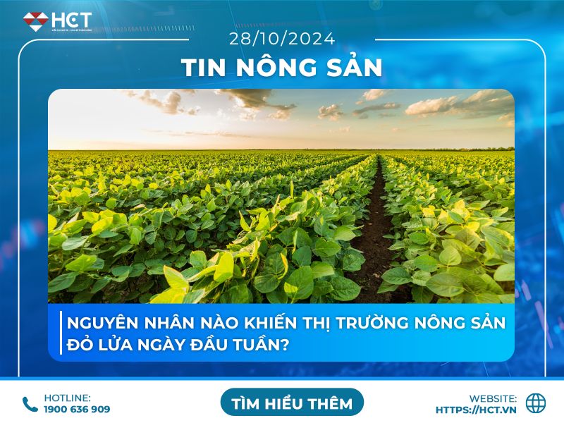 Nguyên nhân nào khiến thị trường nông sản đỏ lửa ngày đầu tuần?