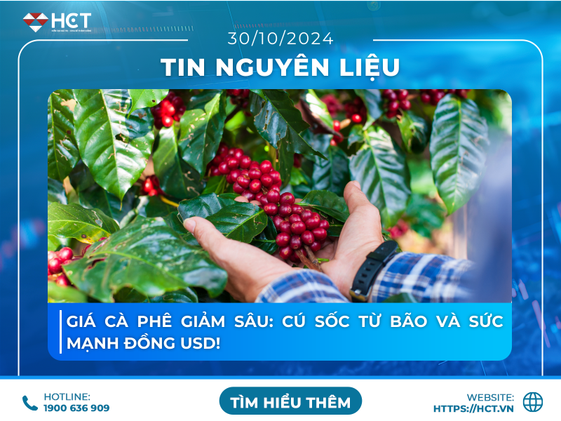 Giá cà phê giảm sâu: Cú sốc từ bão và sức mạnh đồng USD!