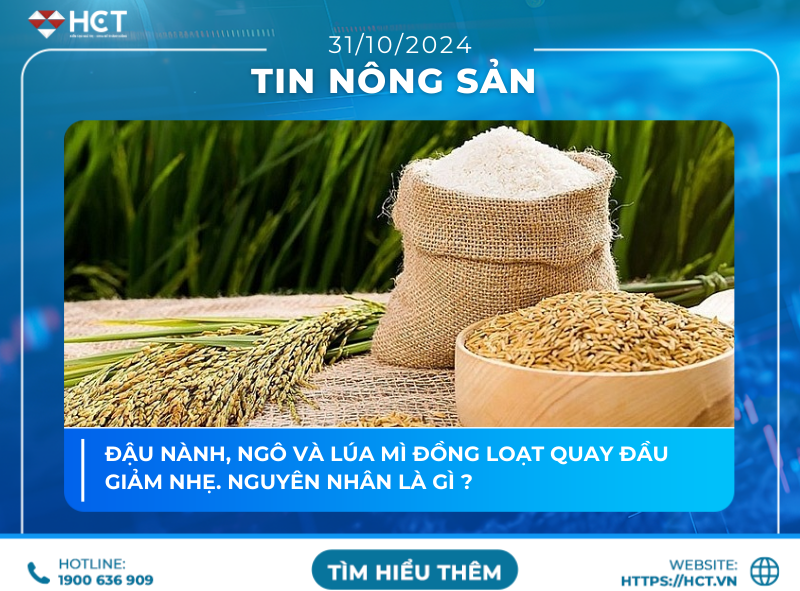 tin tức nông sản