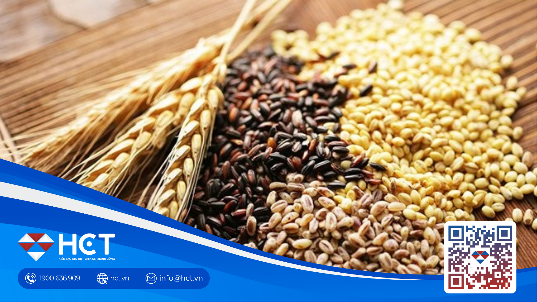 tin nông sản 6/11