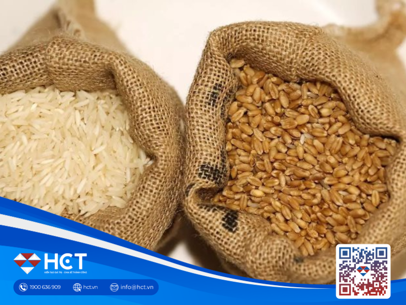 Giá Lúa Mì Tăng Trở Lại: Đã Đến Lúc Thị Trường "Xoay Chuyển" Nhờ Yếu Tố Khí Hậu và Chính Sách Mỹ?