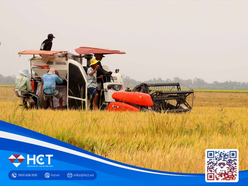 Xuất khẩu gạo của Việt Nam ở mức cao kỷ lục: Đâu là thị trường nhập khẩu hàng đầu?