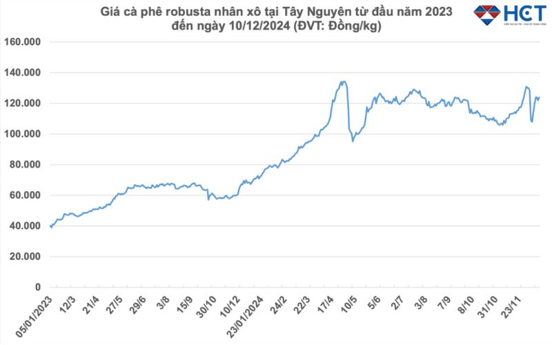 Giá cà phê Robusta 2023-2024