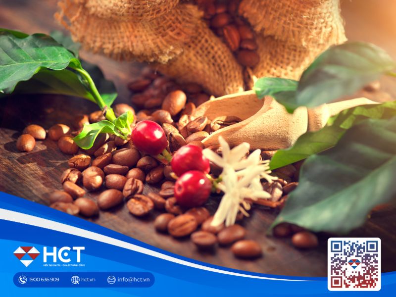 Giá cà phê hôm nay 07/02/2025: Arabica thiết lập kỷ lục mới do lo ngại nguồn cung