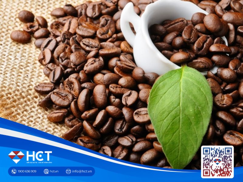 Thị trường cà phê đầu tuần: Arabica lên ngôi, Robusta liệu có bị kéo lùi?