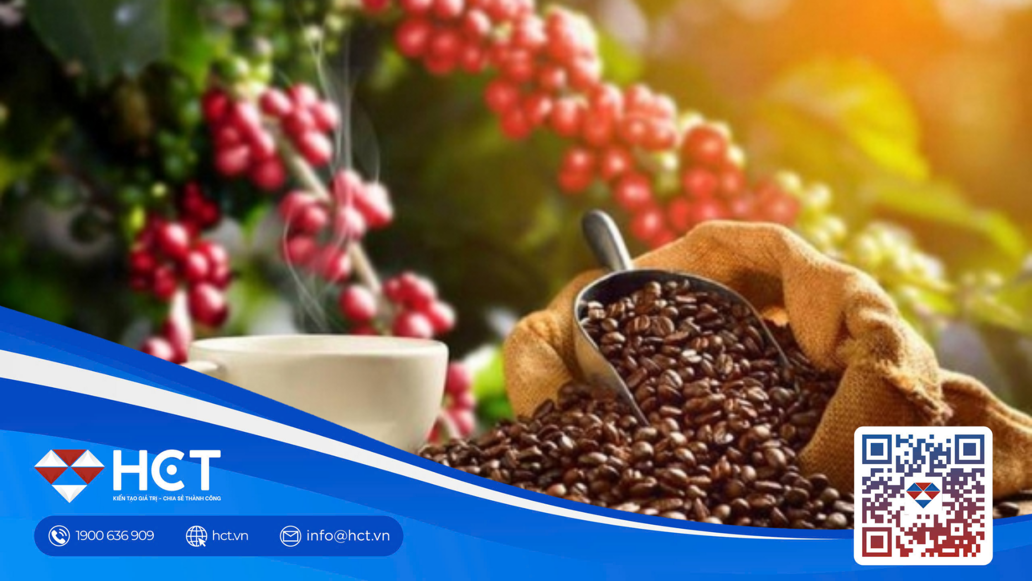 Giá cà phê 25/1 tăng mạnh Giá cà phê 25/1 tăng mạnh