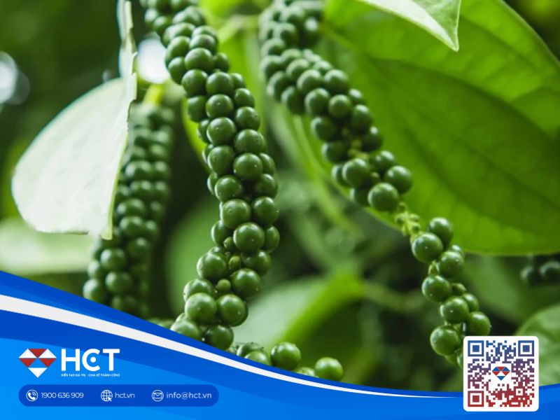 Thị tiêu trường trong nước ổn định, quốc tế diễn biến trái chiều