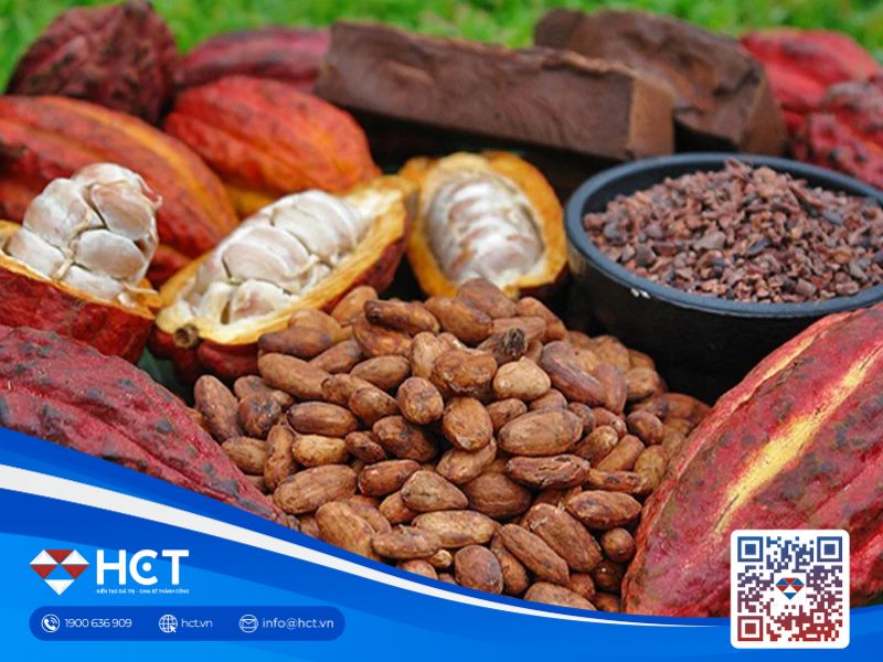 Giá ca cao và đường đồng loạt giảm sâu