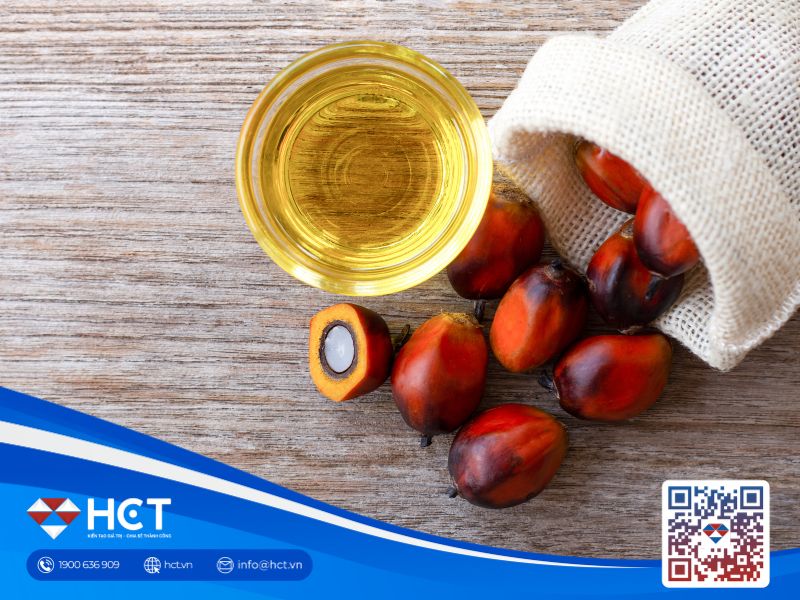 Dầu cọ tăng giá nhờ kỳ vọng từ nhu cầu trung quốc và xuất khẩu ổn định