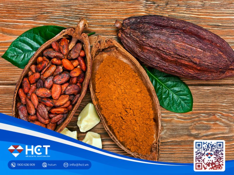 Ca cao thế giới lo ngại sản lượng, đường đối mặt áp lực giá