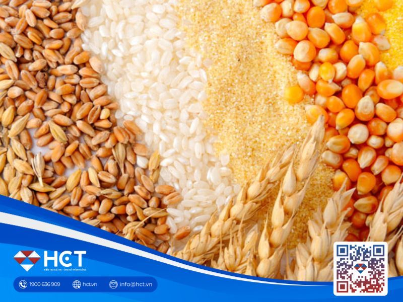 Toàn cảnh thị trường nông sản thế giới 29/5/2025