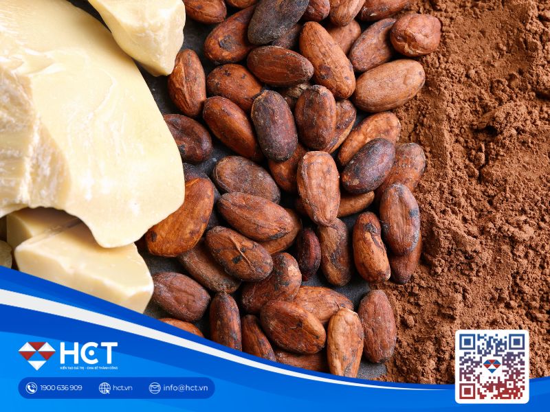 Ca cao hạ nhiệt do nguồn cung cải thiện, đường chờ dữ liệu sản xuất Brazil