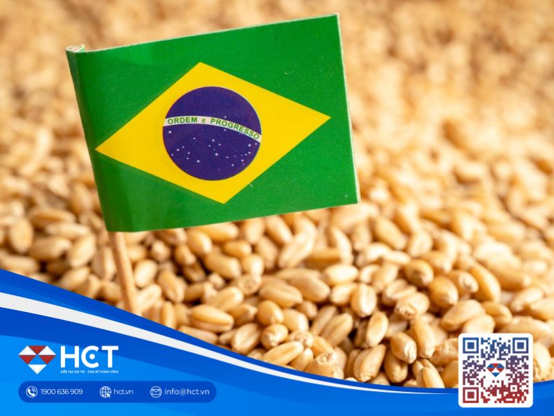 Làn sóng lạnh cuối tháng 5/2025: Rủi ro và cơ hội cho thị trường nông sản Brazil