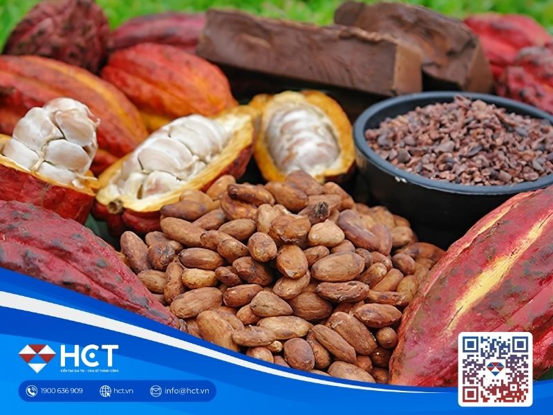 Giá ca cao lao dốc hơn 20%, đường chịu áp lực từ sản lượng Brazil