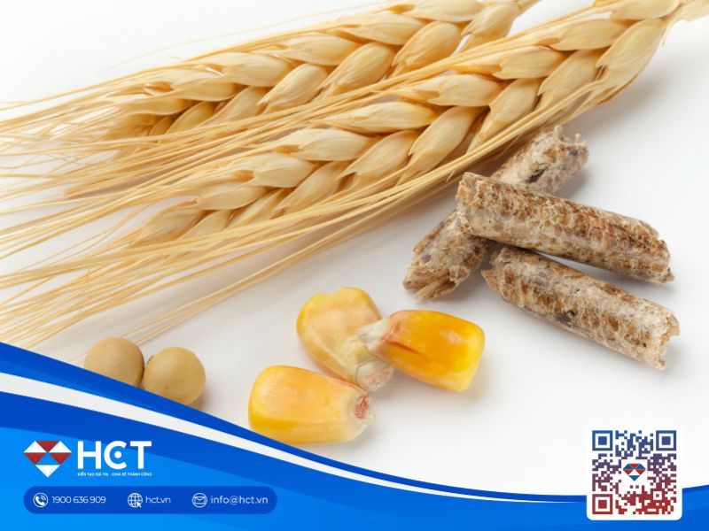 Nông sản ngày 4/6: Sản lượng biến động